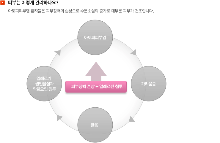 피부는 어떻게 관리하나요?