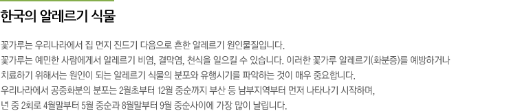 한국의 알레르기 식물