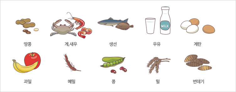 땅콩,게,새우,생선,우유,계란,과일,메밀,콩,밀,번데기