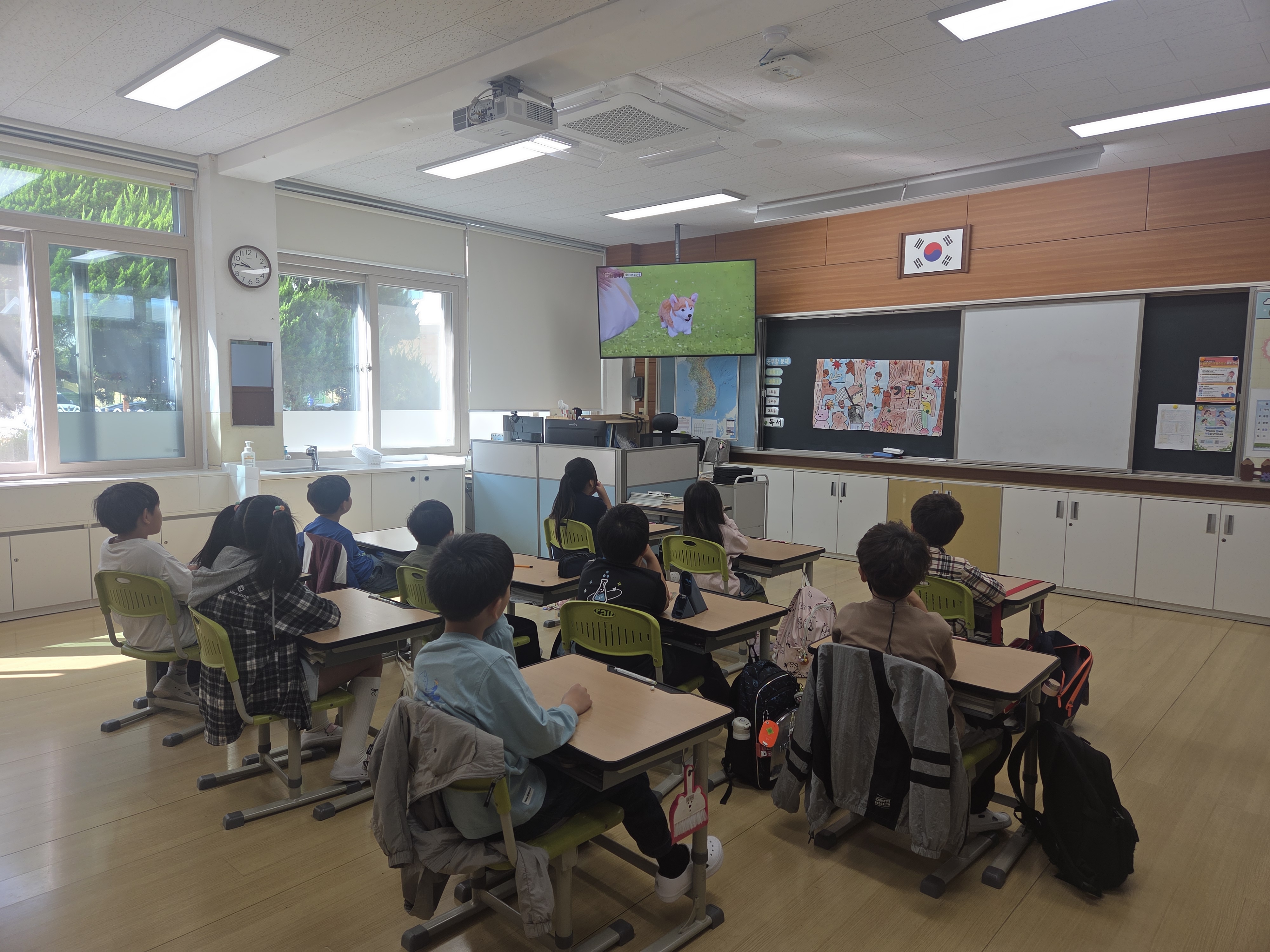 경산시 와촌초 알레르기 질환 교육