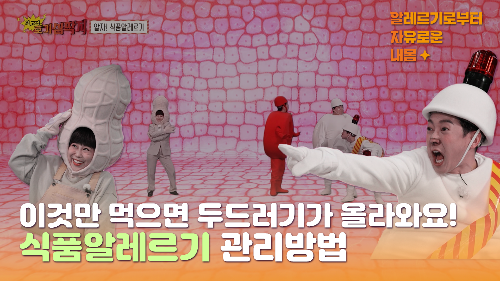 [최고다! 호기심 딱지] - 알자! 식품알레르기